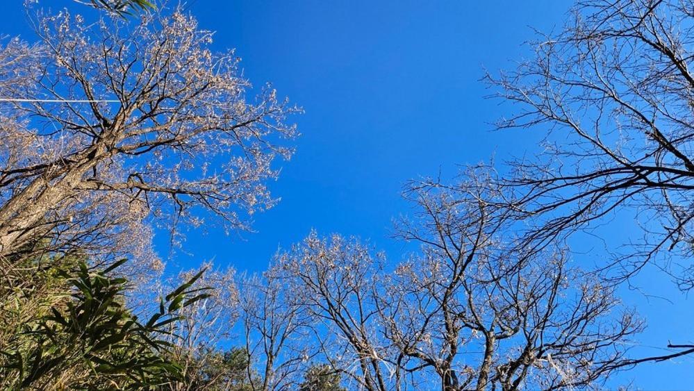 Yangyang Little Forest Pension Exterior foto